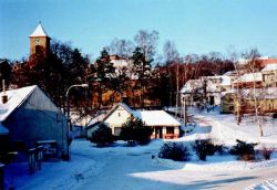 Fotka Borkovany na sněhu